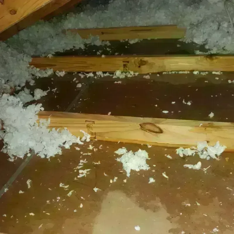 Attic Water Damage in Buffalo, TX