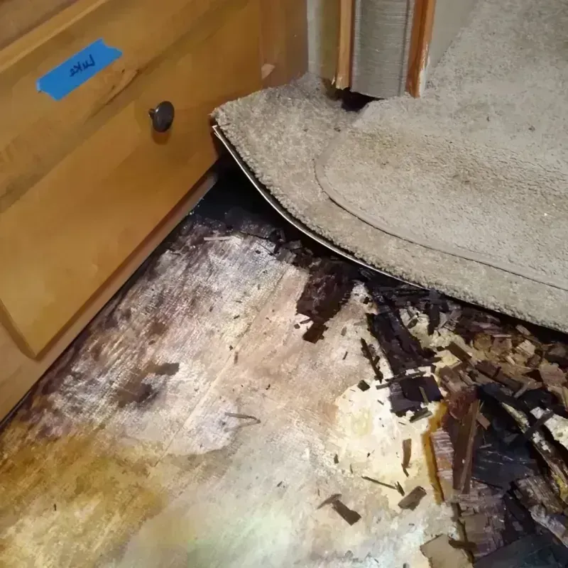 Wood Floor Water Damage in Buffalo, TX